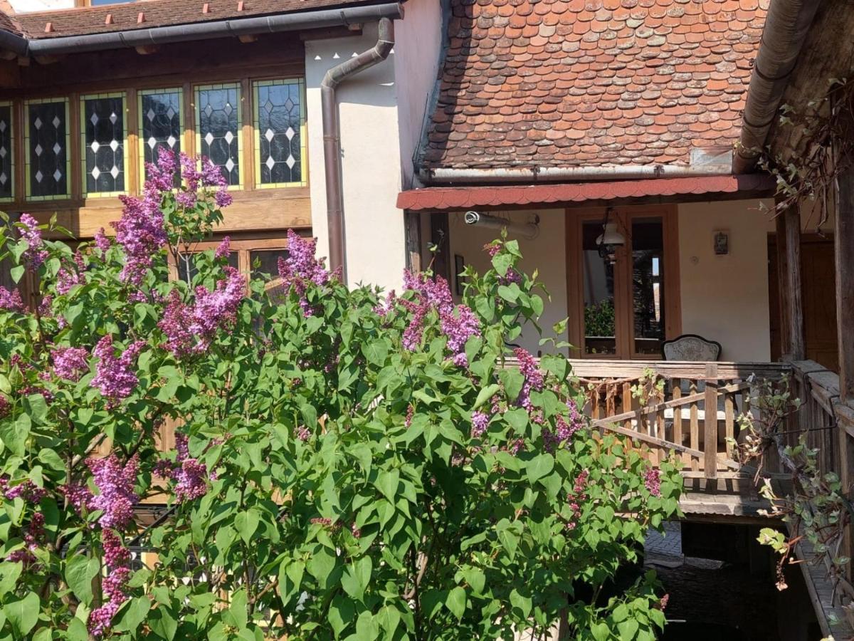 Fronius Boutique Residence Sighisoara Exterior photo