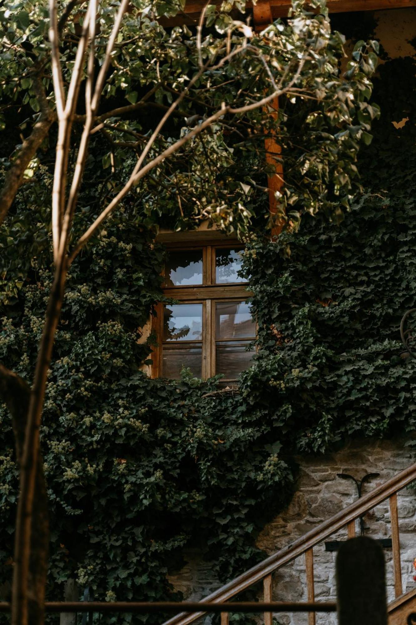 Fronius Boutique Residence Sighisoara Exterior photo
